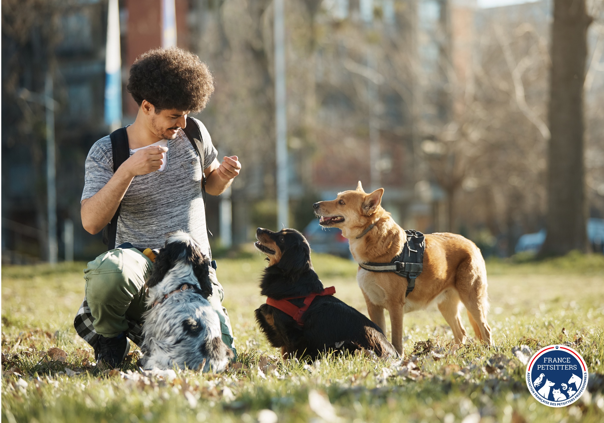Un petsitter tient trois chiens en main dans un parc et les récompense